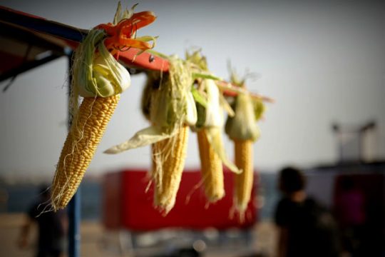 Μύρισε φθινόπωρο…