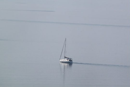 «Μπάφοι»