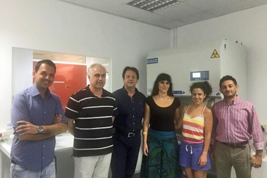 «Εγκέφαλος» σε… μικροτσίπ, ελπίδα για ασθενείς