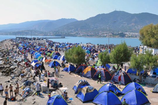 «Κίνδυνος μολύνσεων» των… εγκεφάλων στη Μυτιλήνη