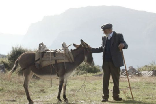 Τρεις νέοι μικρομηκάδες στο 38ο Φεστιβάλ Δράμας