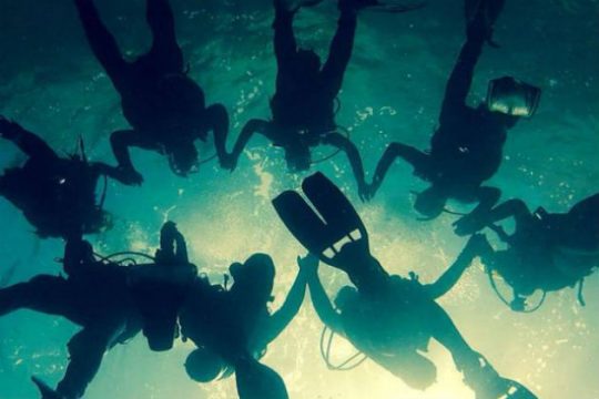 Θεατές και χορευτές στον βυθό του Σουνίου για πρώτη φορά παγκοσμίως