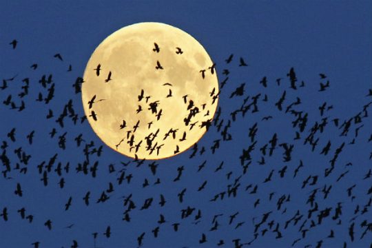 «Ματωμένο» το φεγγάρι τα ξημερώματα