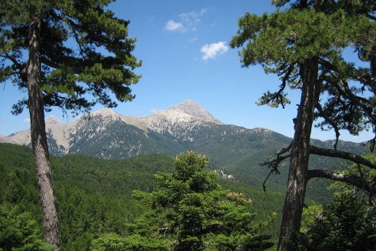 Αυτοσχεδιαστικό καλλιτεχνικό εργαστήρι στους πρόποδες του Ταΰγετου