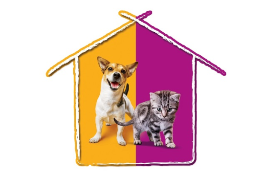 Pedigree® και Whiskas® γιορτάζουν την Παγκόσμια Ημέρα των Ζώων