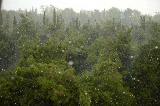 Η Περιφέρεια Αττικής θωρακίζει τους δήμους για τα επικίνδυνα φαινόμενα
