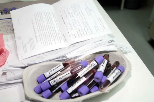 «Αίμα μόνο για Ελληνες», διώξεις σε αντιφασίστες