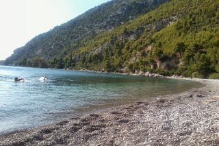 Η συντροφιά