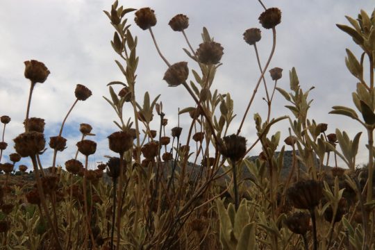 Ηλιοφάνεια και άνοδος της θερμοκρασίας