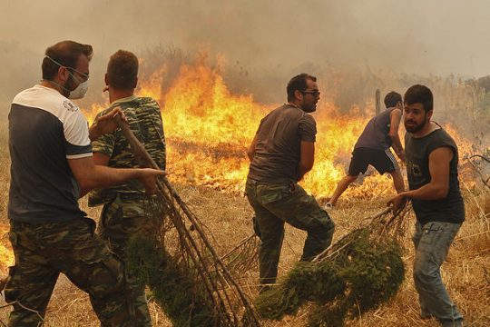 Στην τύχη τους οι πυρόπληκτοι