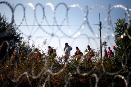 Η νέα επικερδής «μπίζνα» εντός Ε.Ε.