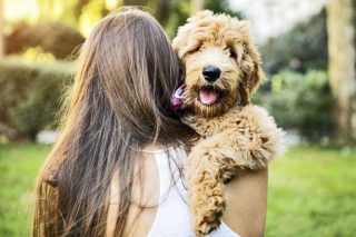 Τιμώρησαν ένα υποδειγματικό κυνοκομείο…