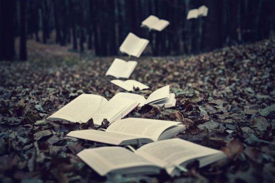 Ο Δάντης, ο πόλεμος του ’40 και η IBM