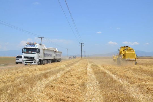 Καρτέλ μεγαλέμπορων στο στόχαστρο