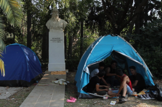 Η γιαγιά Νισά, ο Αλή και οι… ηλιόσποροι
