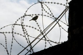 Σε δίκη παραπέμπονται 28 άτομα για την υπόθεση «Γοργοπόταμος»