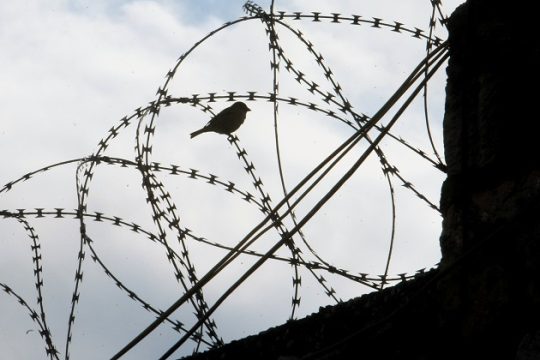 Σε δίκη παραπέμπονται 28 άτομα για την υπόθεση «Γοργοπόταμος»