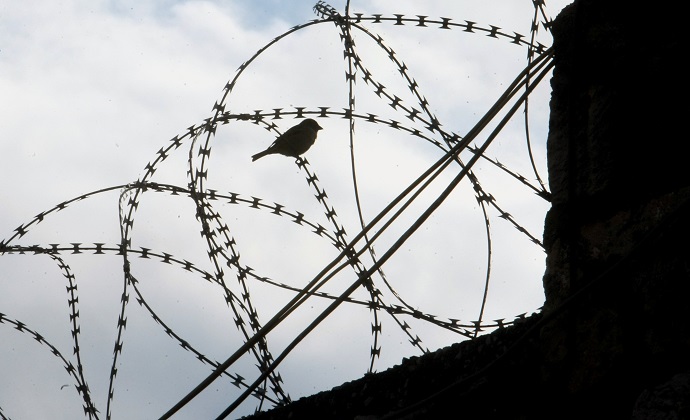 Σε δίκη παραπέμπονται 28 άτομα για την υπόθεση «Γοργοπόταμος»