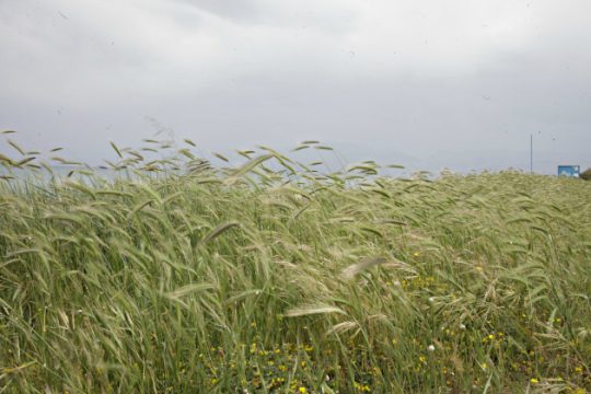 Μικρή άνοδος της θερμοκρασίας
