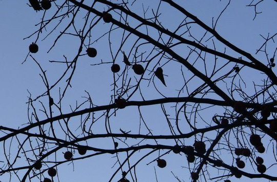 Οταν δεν έχει μείνει τίποτα άλλο να περιμένεις