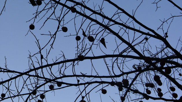 Οταν δεν έχει μείνει τίποτα άλλο να περιμένεις