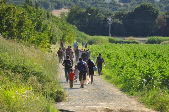 Ψήφισμα 206 πανεπιστημιακών για το προσφυγικό