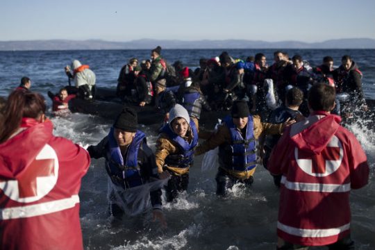 Συλλογή υπογραφών με στόχο «να σταματήσει ο θάνατος στα νερά του Αιγαίου»