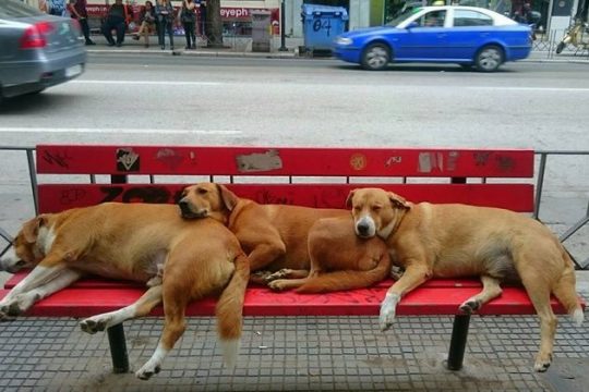 3 χρόνια – και συνεχίζουμε!