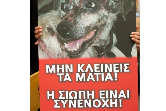Η κακοποίηση ζώων και ανθρώπων συνδέεται άμεσα
