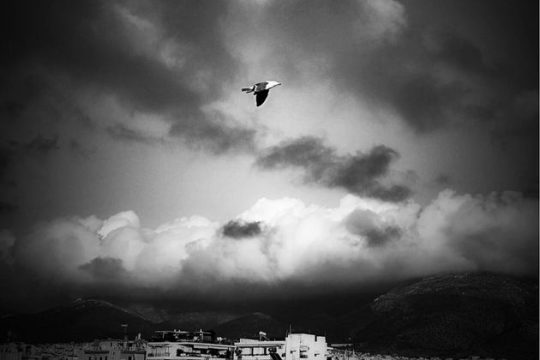 Τέρατα του πολιτισμένου κόσμου