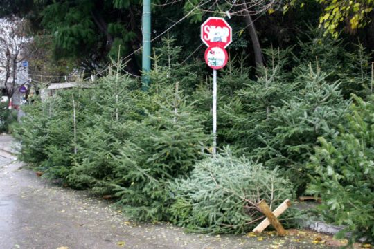 Xυδαιότητα…