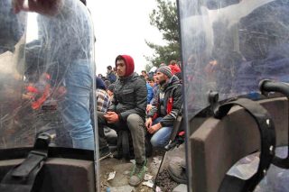 Ούτε το δάσος ούτε το δέντρο