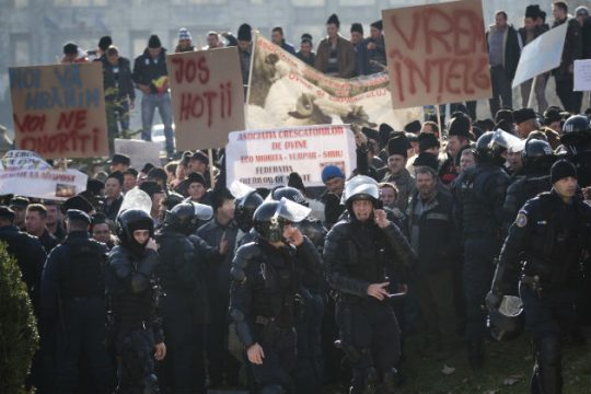 Οι βοσκοί με άγριες διαθέσεις στο Κοινοβούλιο