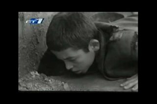 Γάλα σε σκόνη και τυρί κίτρινο
