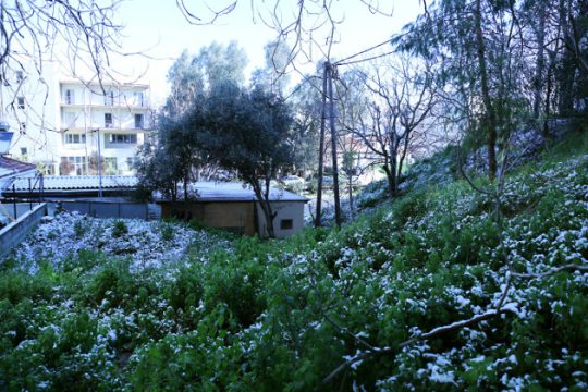 Πτώση της θερμοκρασίας, βροχές και χιόνια