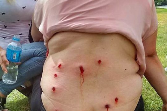 Οι άθλιοι άθλοι της συντηρητικής επανάστασης