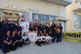 Στείρωσαν 65 θηλυκά ζωάκια στη Σαλαμίνα!