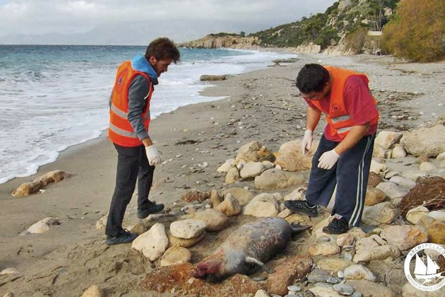 Υπό εξαφάνιση λόγω… δυναμίτη