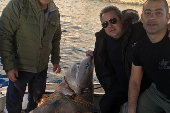Οργή της WWF για τον «μεγαλοκαρχαρία» του Καμμένου