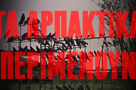«Τα Πουλιά» του Χίτσκοκ σε σποτ του ΠΑΜΕ