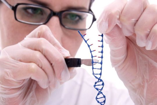 Μια νέα τεχνολογία των γονιδίων η πιο σημαντική ανακάλυψη του 2015