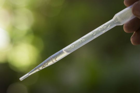 Ο ιός Ζίκα ταξίδεψε στην Ευρώπη