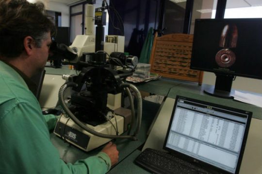 Μικροσκοπικοί εγκέφαλοι στην υπηρεσία της έρευνας
