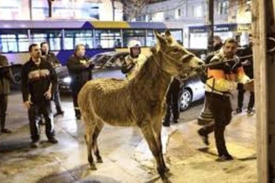 Δεν φταίνε για τα Μνημόνια…