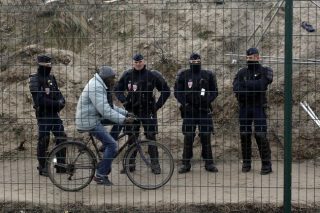 Ο Νόμος της «Ζούγκλας»