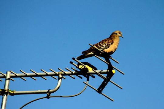 (Επανά)σταση στα κανάλια!