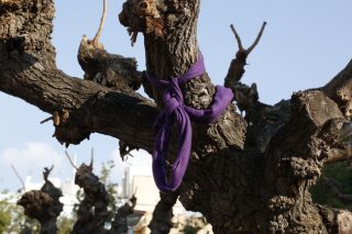 Αυτοκτονώντας στη Βικτώρια