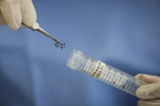 Κρούσμα Ζίκα στην Κίνα – σχέση του ιού με σπάνιο νόσημα