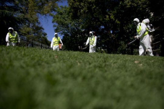 Σε έκτακτη ανάγκη η Ονδούρα λόγω Ζίκα