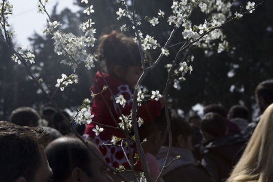 Ανοιξιάτικος ο καιρός
